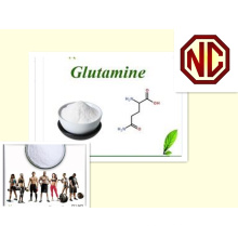 Glutamine Top Nutrition sportive Ingrédients Créatine